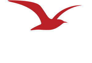 Chèques ANCV